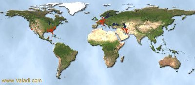 Click here for my Virtual Tourist site