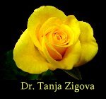 In loving memory of Dr. Tanja Zigova